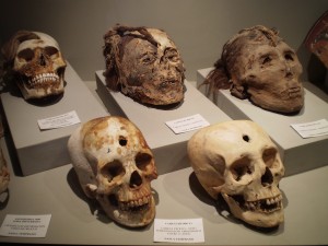 die inkas waren auch rigoros - los inkas fueron también rigurosamente