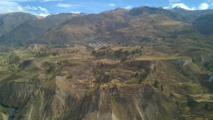 terrassen im colcatal - terrazas en el valle del colca